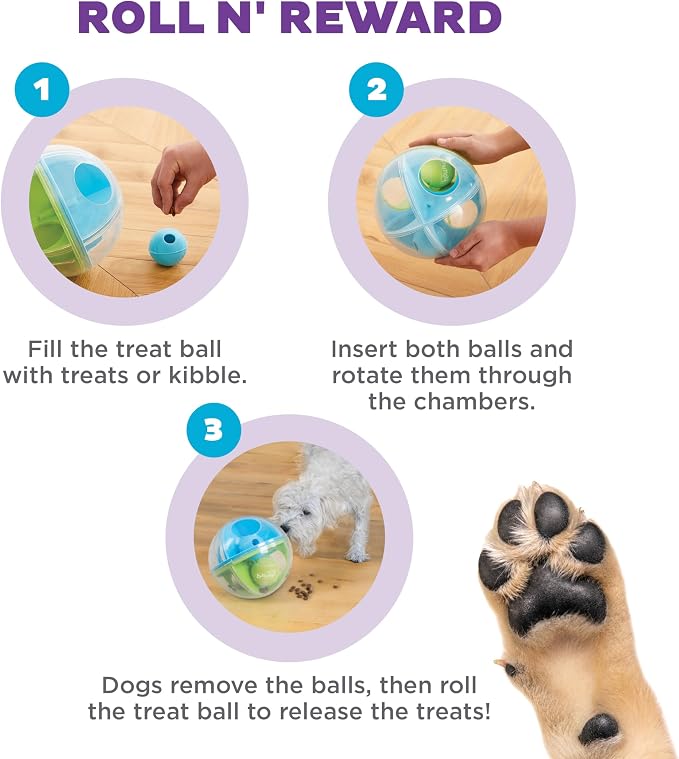 Outward Hound by Nina Ottosson A-Maze Ball Dog Treat Puzzle Ball, Level 2 Intermediate, Green - Image 4