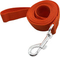 Nylon Dog Training Leash, Traction Rope, 4/5/6 Feet Long, 3/4 Inch 1 Inch Wide, for Small and Medium Dogs (1'' x 5 FT, Orange) by TAIDA