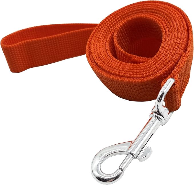 Nylon Dog Training Leash, Traction Rope, 4/5/6 Feet Long, 3/4 Inch 1 Inch Wide, for Small and Medium Dogs (1'' x 5 FT, Orange) by TAIDA
