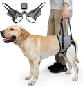 CNEO Dog Lift Harness, Dog Sling for Medium Large Dogs, Adjustable Dog Support Harness for Back Legs, Comfy Design Pet Harness with Padded for Elderly, Injured, Arthritic, Senior, Disabled Dogs by CNEOForthebestForthepet