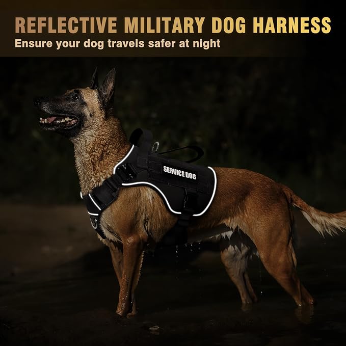 2X Metal Buckle Service Working MOLLE Dog Vest with 10 Pet Patches | Tactical Dog Harness for Large Dog, No-pull Military Working Vest for Training Hunting Walking，2x D Rings for Leash Clip - Image 7