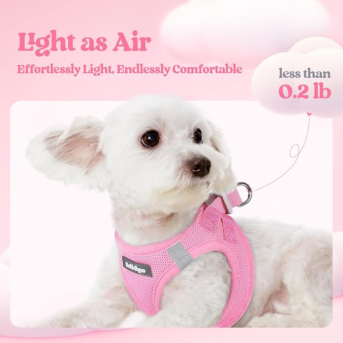 rabbitgoo Dog Harness Medium Sized and Leash Set, Step-in Puppy Pet Vest | Light, Soft, Breathable Air Mesh, Easy on and Remove with Hook & Loop, Secure Reflective for Walking, Light Pink XL - Image 4
