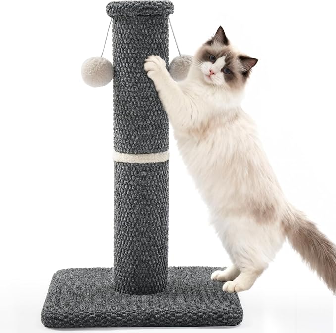 Made4Pets Cat Scratching Post, Carpet Cat Scratcher for Indoor Cats, 23.6" | Compact Base, Hanging Balls for Play, Easy Assembly with Tools, Vertical Scratching for Kittens and Smaller Cats, Dark Grey by Made4Pets