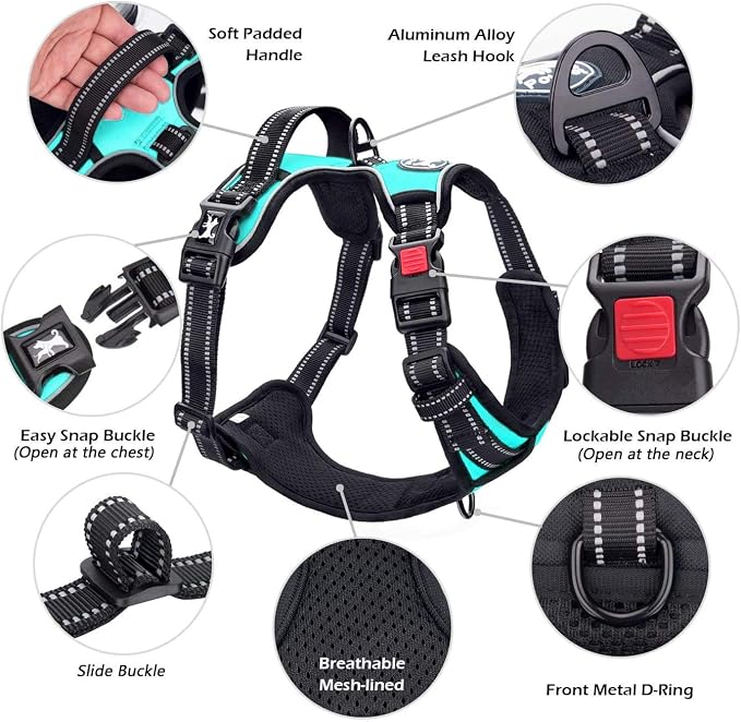 PoyPet No Pull Dog Harness Small with Front Clip & Neck Release Buckle | No Choke, Adjustable Vest, Reflective, Back Clip, Lockable, Soft Padded Handle for Walking Training, S, Mint Blue - Image 4