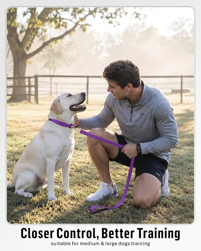 FunTags Reflective Nylon Dog Leash for Medium & Large Dogs, 4FT Training | Comfortable Padded Grip, Stay Safe at Night, 360° Anti-Tangle Swivel, for Dog Parks & Trails, Purple - Image 5