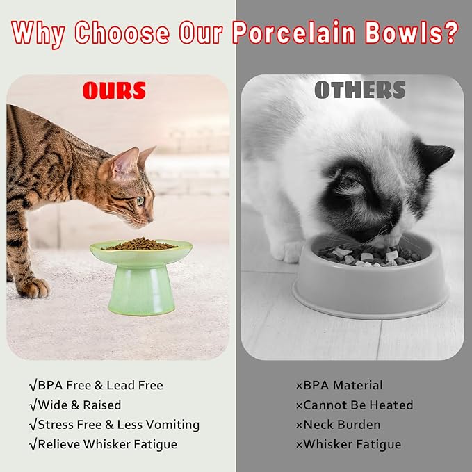 Wide Shallow 6.1" Raised Cat Bowls, Ceramic Elevated Food Bowl for Flat Faced Cats and Small Dogs, Porcelain Feeder Bowl, Stress Free, Protect Cat’s Spine, Green - Image 6