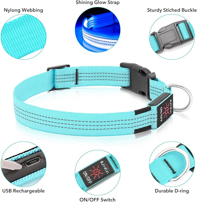 Illumifun LED Dog Collar, Reflective Light Up Collars for Small Dog, USB Rechargeable Pet Collar Light for Dogs Walking Camping (BlueⅢ, Small) - Image 3