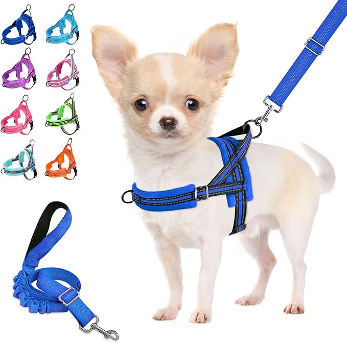 Lukovee Small Dog Harness and Leash Set, No Pull Soft Padded Vest | Both Neck & Chest Adjustable, Reflective, Puppy Harness with 4ft Lightweight Anti-Twist Dog Leash for Small Dogs (Blue, XS) by Lukovee