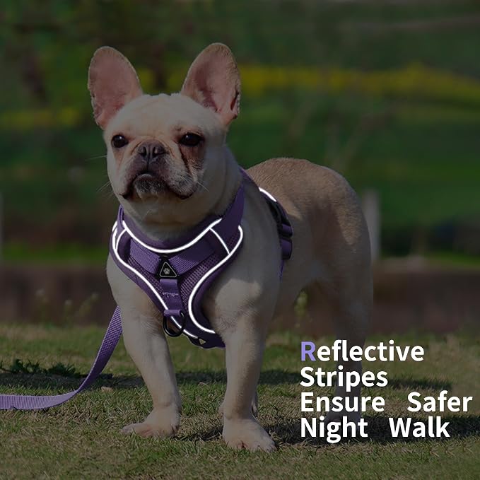 Dog Harness Medium Sized Dog Pet Vest with Leash Set Lilac XL | Adjustable Puppy Vest Harness, No Choke No Pull, Soft Padded, Step-in Dog Vest, Reflective Cat Harness, Breathable Air Mesh - Image 5