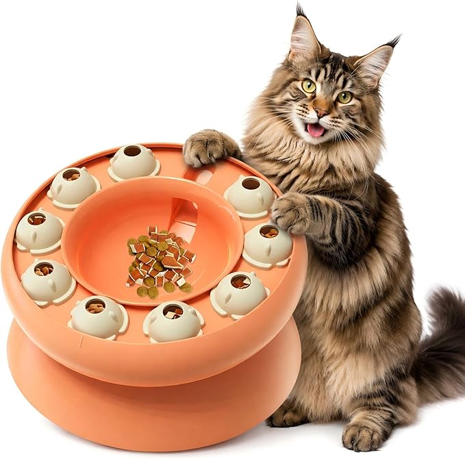 KADTC Cat Puzzle Toy Slow Feeder Bowl for Fast Eater, Kitten Enrichment Toy | 15° Base Eases Deep Stooping, Keeps Chins Cleaner; Daily Brainwork Fights Boredom, Curbs Overeating, Supports Weight Control. by KADTCINTELLIGENCEDEVELOPMENT