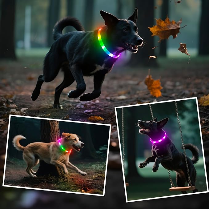 HIGO RGB LED Dog Collar Light - USB Rechargeable Light Up Dog Collars, Safety LED Dog Necklace for Your Dogs Walking at Night (Multi-Color) - Image 8