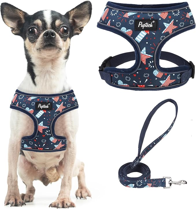 PUPTECK Small Dog Harness and Leash Set No Pull for XS XXS Sized Dogs Puppy | Escape Proof No Choke Pet Cat Adjustable Soft Padded Walking Vest by PUPTECK