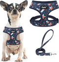 PUPTECK Small Dog Harness and Leash Set No Pull for XS XXS Sized Dogs Puppy | Escape Proof No Choke Pet Cat Adjustable Soft Padded Walking Vest by PUPTECK