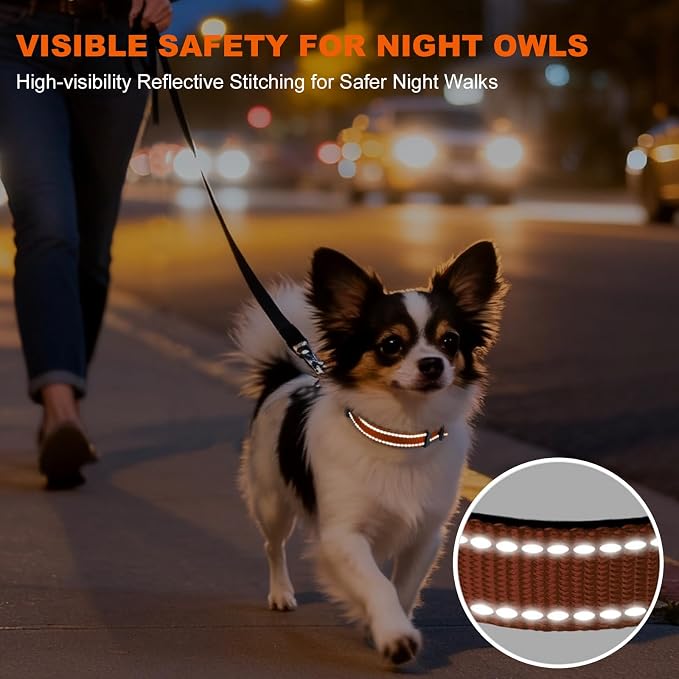 Taglory Reflective Dog Collar for Puppies, Gentle and Safe for Night Walks | Night-Walk Visibility, Soft Neck Cushioning, Adjustable 8-12 in, Locking Buckle, D-Ring for Leash and ID Tags - Image 5