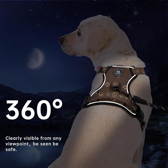 IVY&LANE No Pull Dog Harness with Leash Set, Reflective No Choke Pet Vest,Adjustable Oxford Dog Vest Harness with Easy Control Handle for Medium Dogs (Dark Brown,M) - Image 5