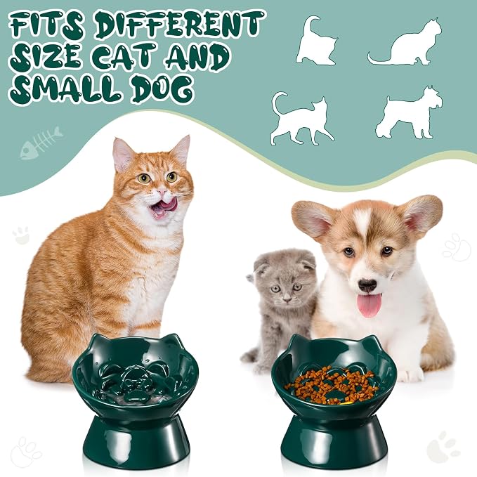 Funnymoom 2 Pcs Ceramic Raised Slow Feeder Cat Bowl, 5.91inch Elevated Cat Slow Feeder Bowl Tilted Anti Vomiting for Dry Wet Food and Water Easy to Clean High Edge(Dark Green) - Image 5