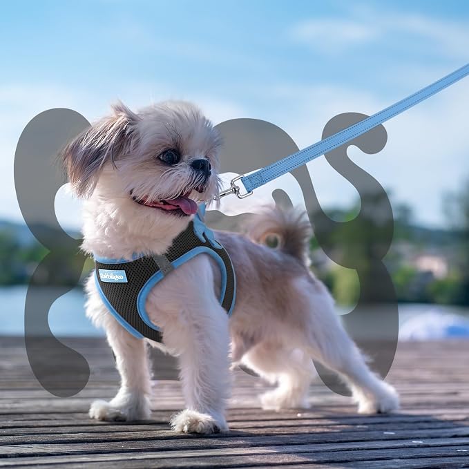 rabbitgoo Dog Harness Small Sized and Leash Set, Step in Soft Vest | Breathable Mesh, Easy Wear with Hook & Loop, Light and Reflective for Walking, Multi-colored, Black & Blue, S - Image 8