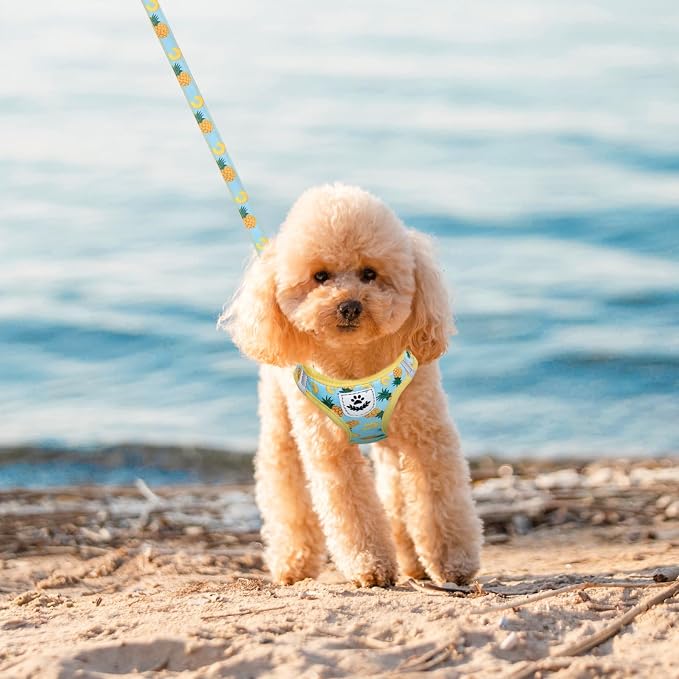 Small Dog Harness and Leash Set - Cute Puppy Harness Leash Dog Collar with AirTag Holder Silicone Case, Soft Padded Step in Pet Vest Reflective for Outdoor Walking, Pineapple M - Image 7