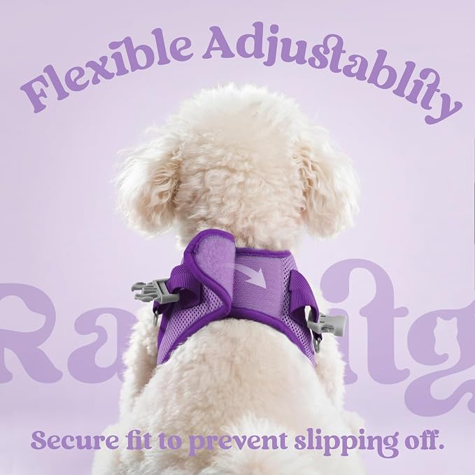 rabbitgoo Dog Harness Small Sized and Leash Set, Step in Soft Vest | Breathable Mesh, Easy Wear with Hook & Loop, Light and Reflective for Walking, Multi-colored, Light Purple & Purple, M - Image 6