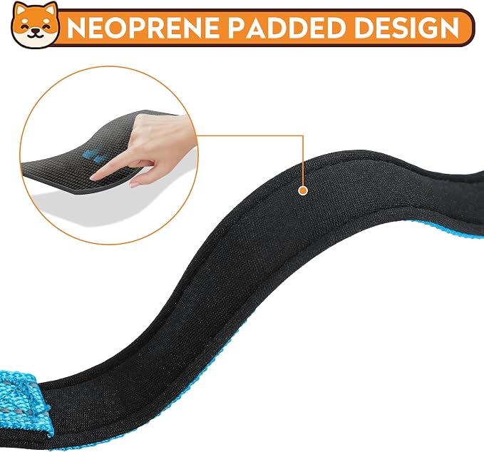 Reflective Dog Collar, Adjustable Soft Neoprene Padded,Sky Blue,L | Breathable Nylon for Large Dogs,Tear-Resistant Webbing,Chafe‑Free on Walks and Hikes,Metal D-Ring,Night Safety - Image 4