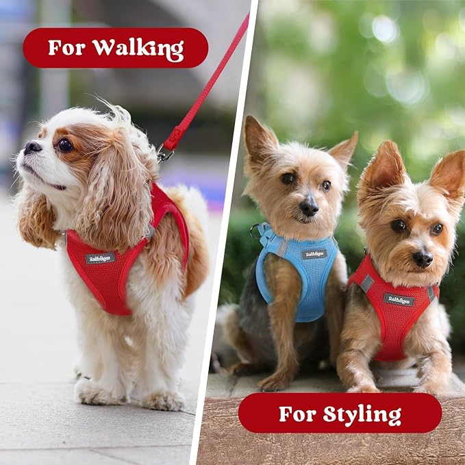rabbitgoo Step-in Small Dog Harness, Puppy Vest for Small Sized Pet | Easy Put on and off, Lightweight, Soft, Breathable Quick-Dry Air Mesh for Comfortable Secure Walking, Red XS - Image 9