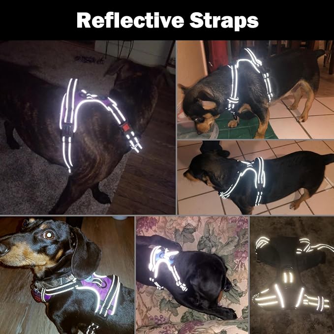 No Pull Dog Harnesses for Small Dogs Reflective Adjustable | Front Clip Vest with Handle 2 Metal Rings 3 Buckles [Easy to Put on & Take off] (S, Black) - Image 5