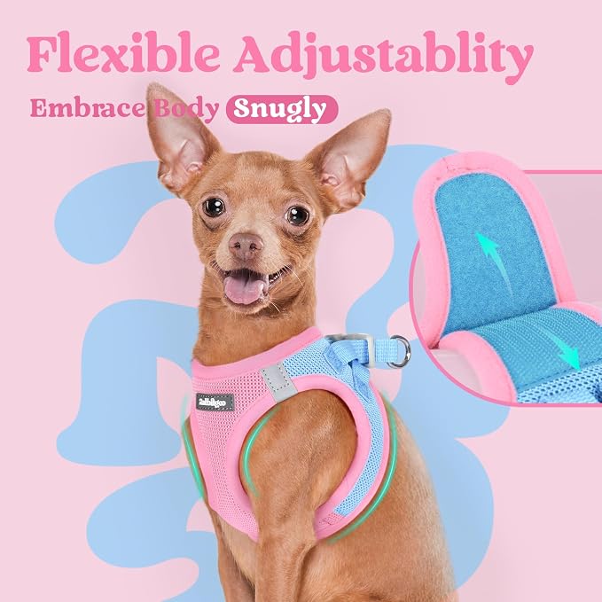 rabbitgoo Step-in Small Dog Harness, Puppy Vest for Medium Sized Pet | Easy Put on and off, Lightweight, Soft, Breathable Quick-Dry Air Mesh for Comfortable Secure Walking, Blue & Light Pink XXL - Image 8