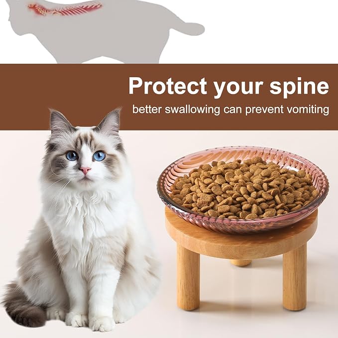 Cat Bowls Whisker Friendly with Wooden Stands. Raised Elevated Glass Whisker Fatigue Cat Bowl for Indoor Cats. 2PCS (Purple) - Image 5