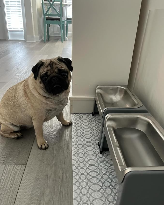 Fluff Trough 7.25 Inch Tall Elevated Dog Bowls for Medium & Small Dogs – Stainless Steel Raised Dog Bowl with Stand Holds 2 Cups of Pet Food – Vet Recommended, Dishwasher Safe Dog Feeder Station - Image 4
