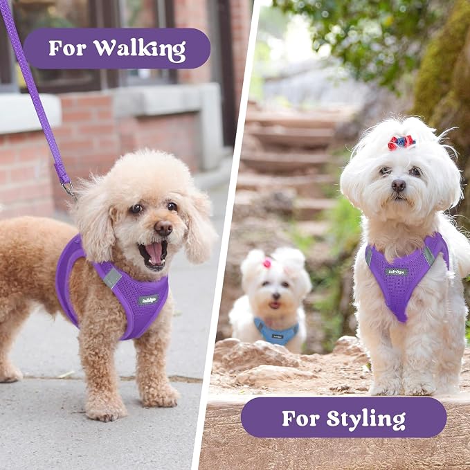 rabbitgoo Step-in Small Dog Harness, Puppy Vest for Medium Sized Pet | Easy Put on and off, Lightweight, Soft, Breathable Quick-Dry Air Mesh for Comfortable Secure Walking, Purple XXL - Image 9