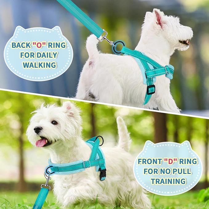 SlowTon No Pull Small Dog Harness and Leash Set with Front Clip | Soft Padded, Neck & Chest Adjustable, Lightweight, Anti-Twist, Puppy Vest Harness Pet Lead Combo for Small Medium Dog, TL XXS - Image 4