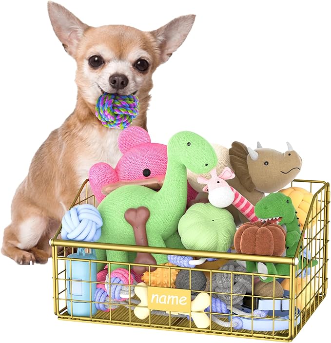 Kaiferty Indestructible Dog Toy basket, Small Toy Box for Dogs, Pet Toy Bin Dog Metal Basket for Toys, Toy Storage Organizer, Cat Toy Box for Living Room Area(Gold) by Kaiferty