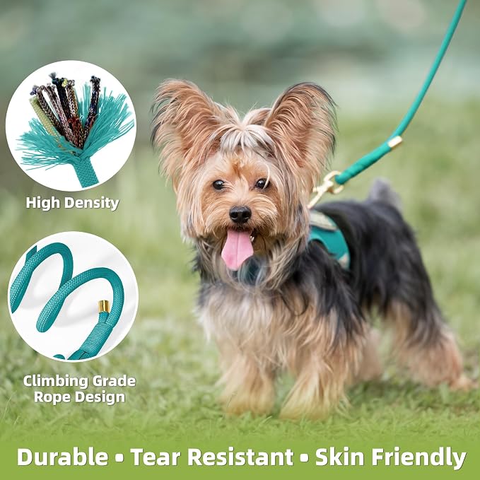5FT Dog Leash 5/16 inch Puppy Cat Rope Lead | Marrs Green, with Anti-tangle Swivel Clip, Comfortable Non-slip Grip Handle, Ideal for Daily Walks, for Small Medium Dogs - Image 4