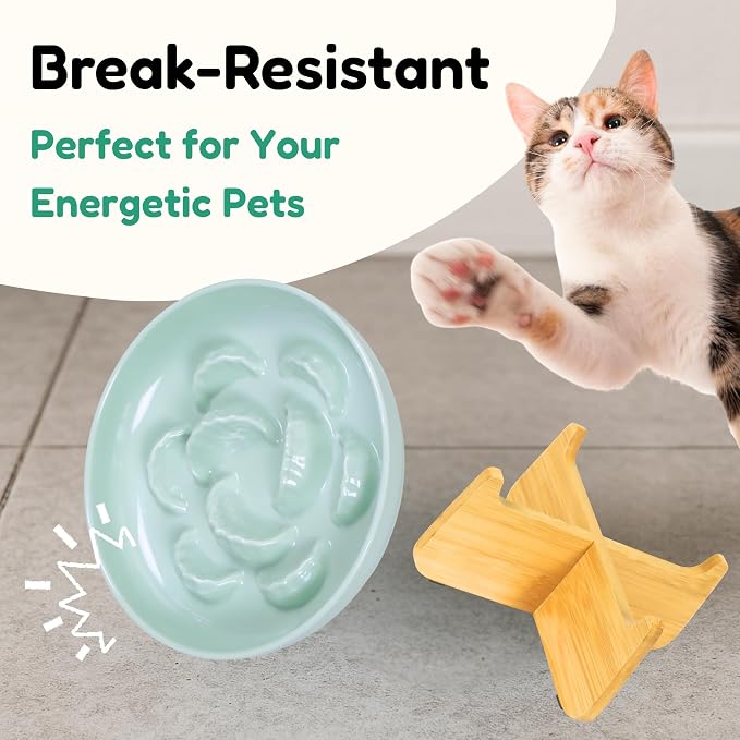 Slow Feeder Cat Bowl with Stand - Unbreakable Elevated Slow Feeder Bowl for Cats - Melamine Puzzle Raised Cat Food Bowl - Whisker Friendly & Wet & Dry Food- Dishwasher Safe & Non Slip (Green - Image 5