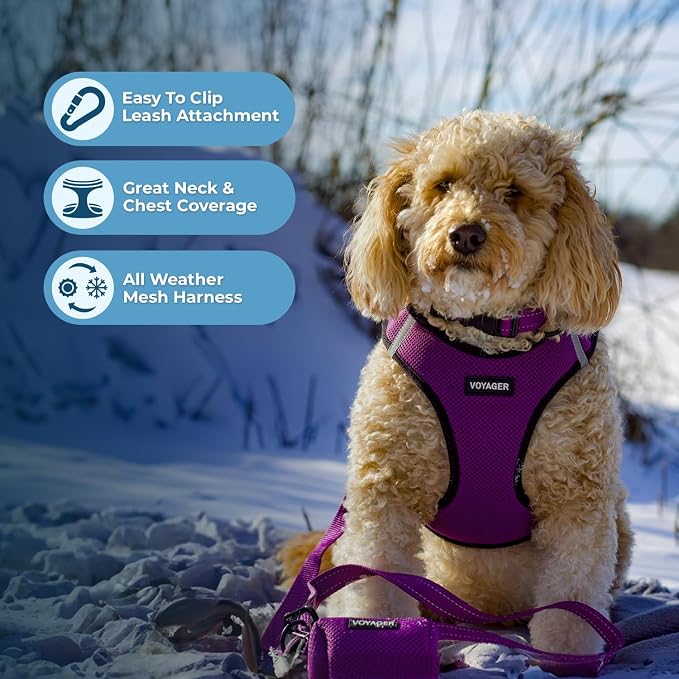 Voyager Step-in Air Dog Vest Harness - Purple/Black Trim, X-Large | 20.5 - 23" in Chest, Reflective Bands, All Weather Breathable Air Mesh, Cats Compatible, Lightweight, Fast Drying - Image 3