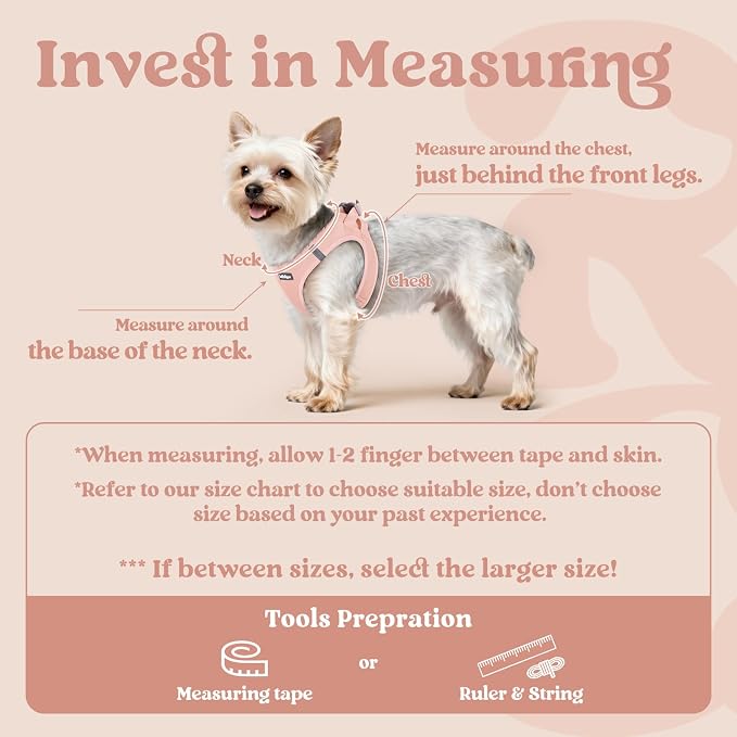 rabbitgoo Step-in Small Dog Harness, Puppy Vest for Small Medium Sized Pet | Easy Put on and off, Lightweight, Soft, Breathable Quick-Dry Air Mesh for Comfortable Secure Walking, Pink XL - Image 2