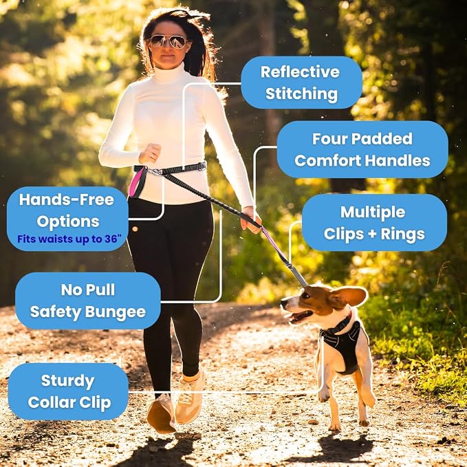 Heavy Duty Dog Leash for Large Dogs – 6FT Reflective Bungee with Padded Handles, Strong Carabiner Clip, No Pull Control for Medium & Large Breeds, Includes Poop Bag Holder & Treat Pouch (Royal Blue) - Image 2