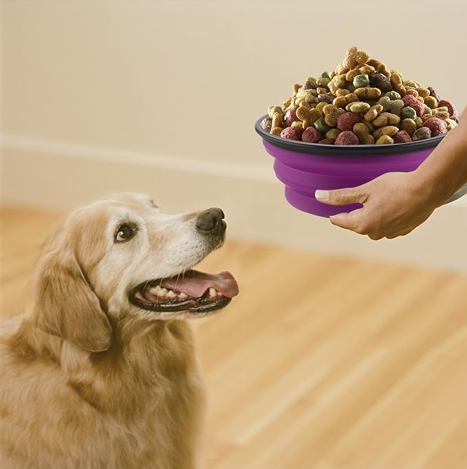 Large Collapsible Dog Bowls, 34oz Portable Foldable Travel Water Bowl Food Dishes with Carabiner Clip for Traveling, Hiking, Walking, 2 Pack (Purple+Green) - Image 3