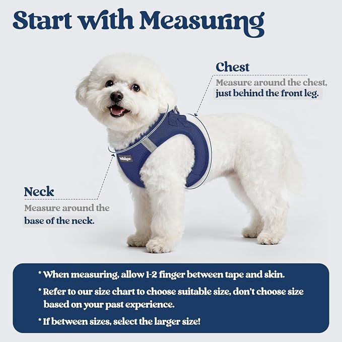 rabbitgoo Dog Harness Medium Sized and Leash Set, Step-in Puppy Pet Vest | Light, Soft, Breathable Air Mesh, Easy on and Remove with Hook & Loop, Secure Reflective for Walking, Navy Blue XXL - Image 2