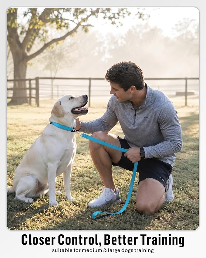 FunTags Reflective Nylon Dog Leash for Medium & Large Dogs, 4FT Training | Comfortable Padded Grip, Stay Safe at Night, 360° Anti-Tangle Swivel, for Dog Parks & Trails, Sky Blue - Image 5