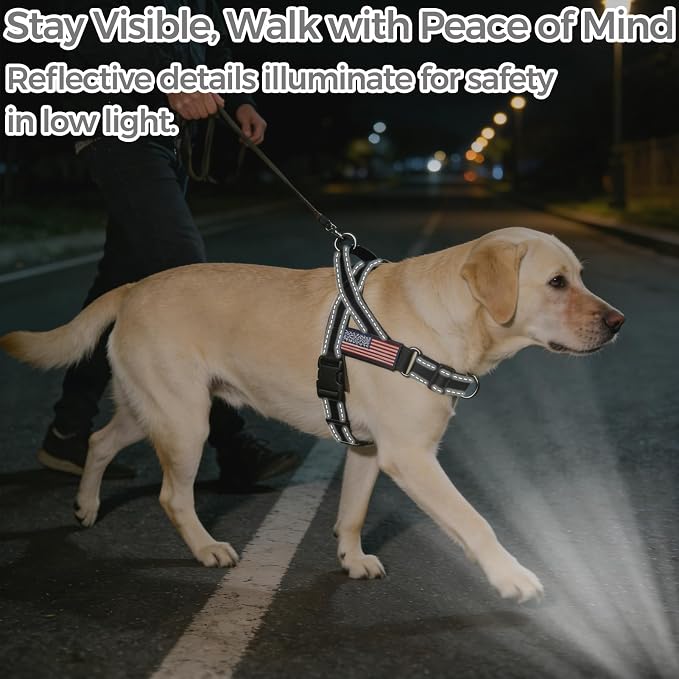 BINGPET No Pull Dog Harness for Large Dogs | Escape-Proof & No-Choke | Soft Padded Vest with Handle & Reflective Front Clip | Quick-Fit for Training, Hiking & Daily Walks | Black, L - Image 9