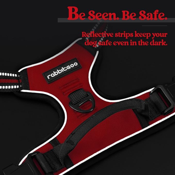 rabbitgoo Dog Harness, No Pull Medium Sized with 2 Leash Clips, Pet Vest | No Choke with Handle, Adjustable Soft Padded, Reflective, Easy Control for Walking, Red, Medium - Image 7