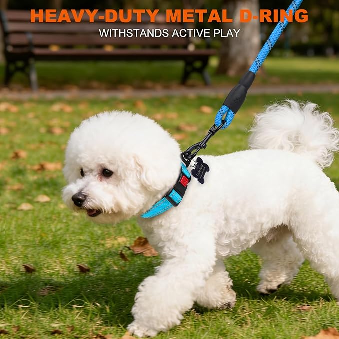 Taglory Reflective Dog Collar for Puppies, Gentle and Safe for Night Walks | Night-Walk Visibility, Soft Neck Cushioning, Adjustable 8-12 in, Locking Buckle, D-Ring for Leash and ID Tags - Image 6