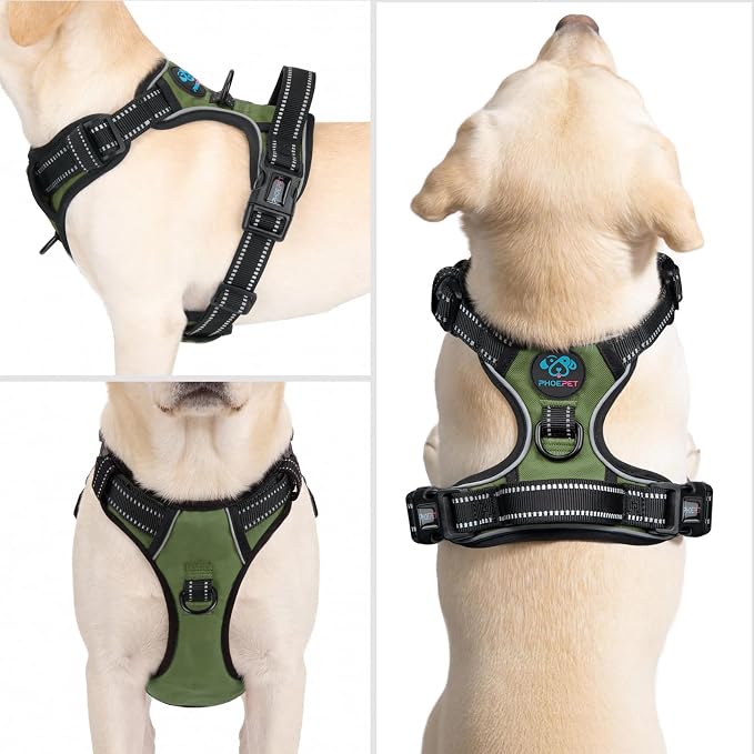 No Pull Dog Harness with Handle Reflective Padded Vest | for Small Medium Large Dogs, Adjustable Puppy Harnesses with Front & Back Clip Easy Walking (XL, Misty Green) - Image 2