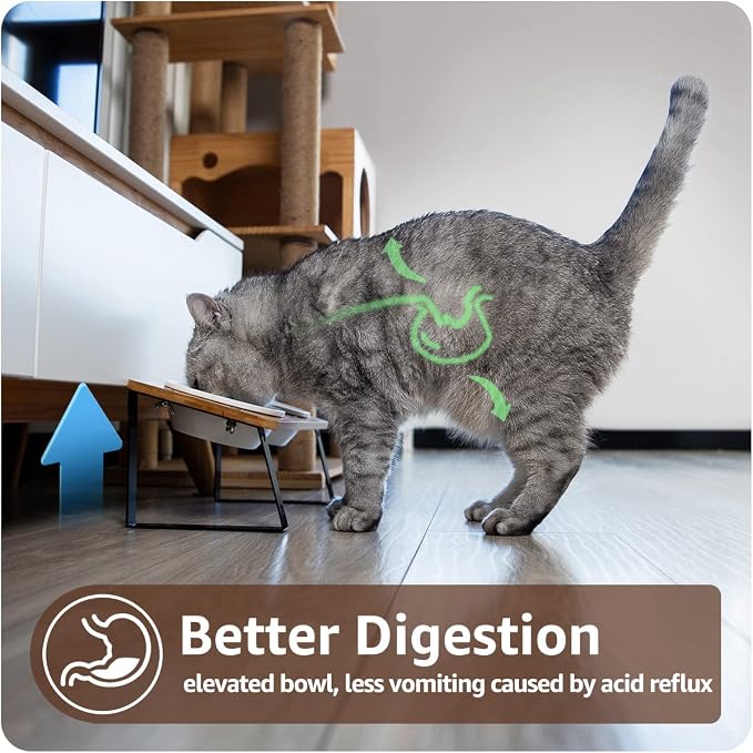 AYADA Elevated Cat Bowls Height Adjustable with Stand (Ceramic) | 15-Degree Tilt, 4.7 or 5.5 Inches, Non-slip Pad, Double Bowls, For Dry Food, Wet Food, Water, Ergonomic, Spine Protection - Image 2
