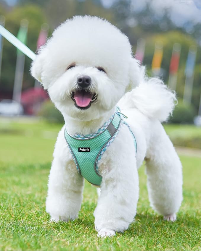 Petank Dog Harness for Small Medium Dogs No Pull, Puppy Harness and Leash Set, Step in Dog Harness for Walking, Running, Training, Small Dog Vest, Medium Dog Vest (Green, M) - Image 2