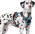 Eagloo Dog Harness No Pull for Large Dogs, Easy On & Off with 3 Buckles | No Choke with Front Clip, Adjustable Fit, MOLLE System, Reflective Vest, Easy Control for Walking, Red & Teal, X-Large by GoExplorewithEagloo