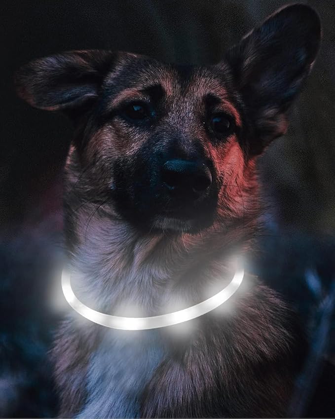 Joytale Light Up Dog Collar, LED Silicone Cut-to-Fit Rainproof, White | Soft Skin-Friendly Won't Chafe, 360° Glow Keeps Dogs Visible at Night, 3 Modes, Rechargeable USB-C, Small Medium Large Dogs - Image 3