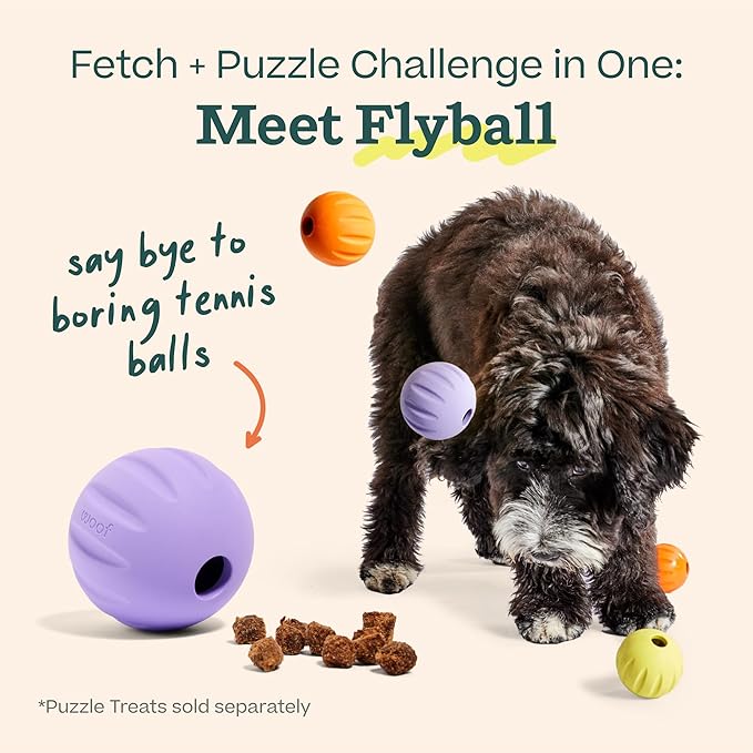 WOOF Flyball Fetch Ball & Dog Treat Dispenser Toy, 3-Pack | 2-in-1 fetch ball, fits standard ball launchers, treat dispenser, durable rubber, dishwasher safe, puzzle enrichment - Image 3