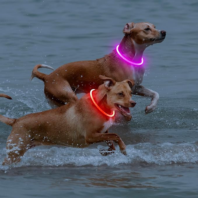 Light Up Dog Collar 2-Pack, USB Rechargeable for Small to Large Dogs | Rechargeable LED Glow Dog Collar with 3 Light Modes, Waterproof, Adjustable 12–25 Inches for Safe Night Walking - Image 6